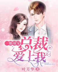 一胎双宝总裁爹地求复婚结局