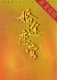 婚途脉脉全文免费阅读txt